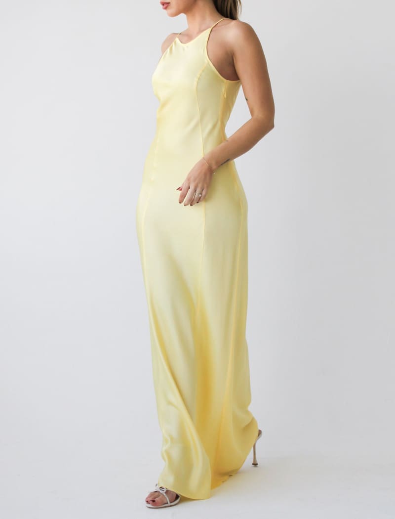 Mirielle Maxi Dress | Banana