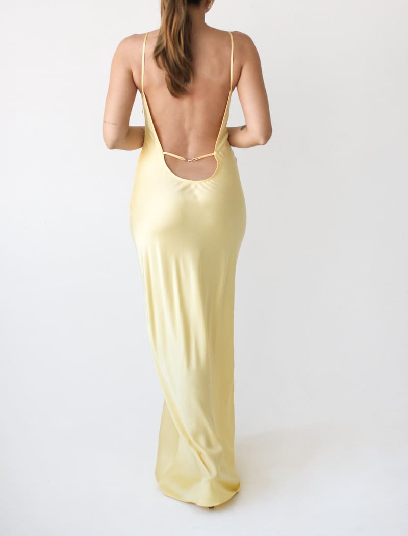 Mirielle Maxi Dress | Banana