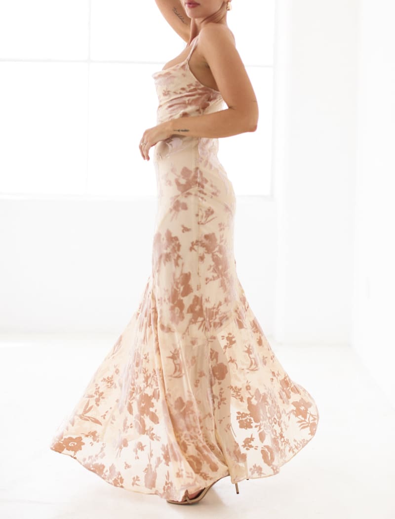 Santeria Maxi Dress | Blush Devore